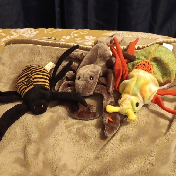BEANIE BABIES SPIDER, BEETLE, SCORPION - Picture 1 of 1